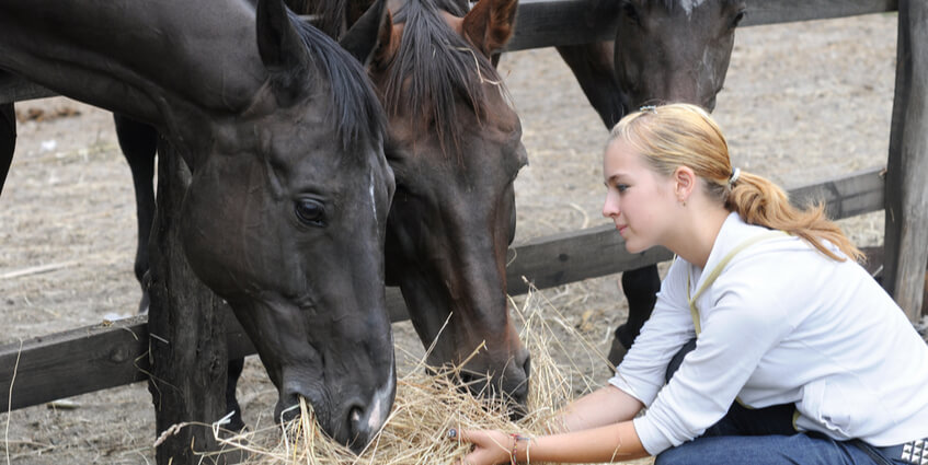Why Equine Therapy for Troubled Girls is Effective  